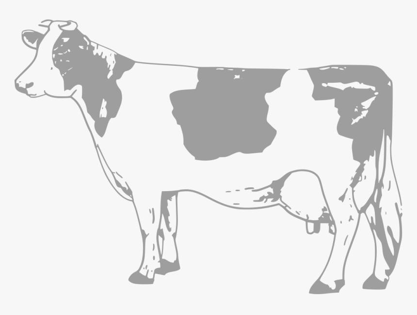 Transparent Got Milk Png - Cow Clipart Black And White, Png Download