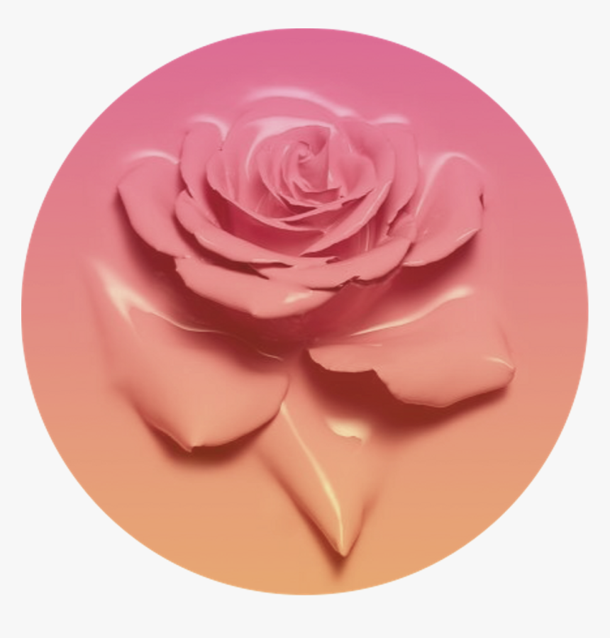 Icon Pink Fade Gradient - Rose Circle Icon, HD Png Download