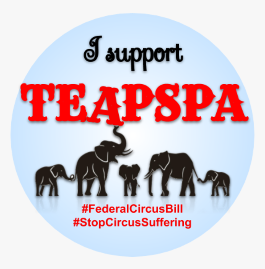 Indian Elephant, HD Png Download