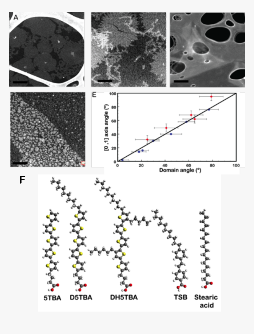 Diagram, HD Png Download