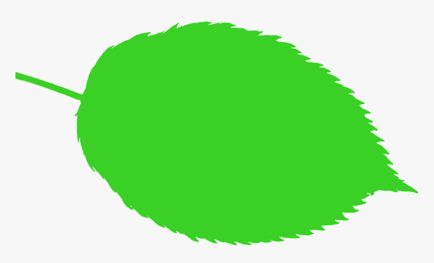 Tiere Die Wie Blätter Aussehen, HD Png Download