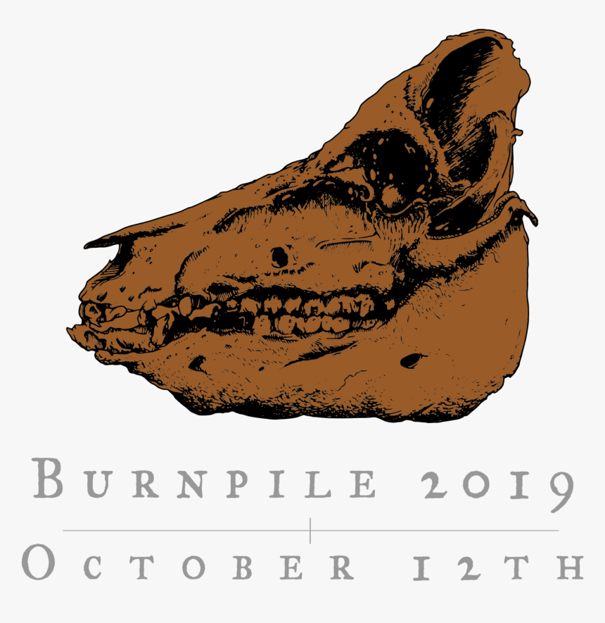 Rhinoceros, HD Png Download