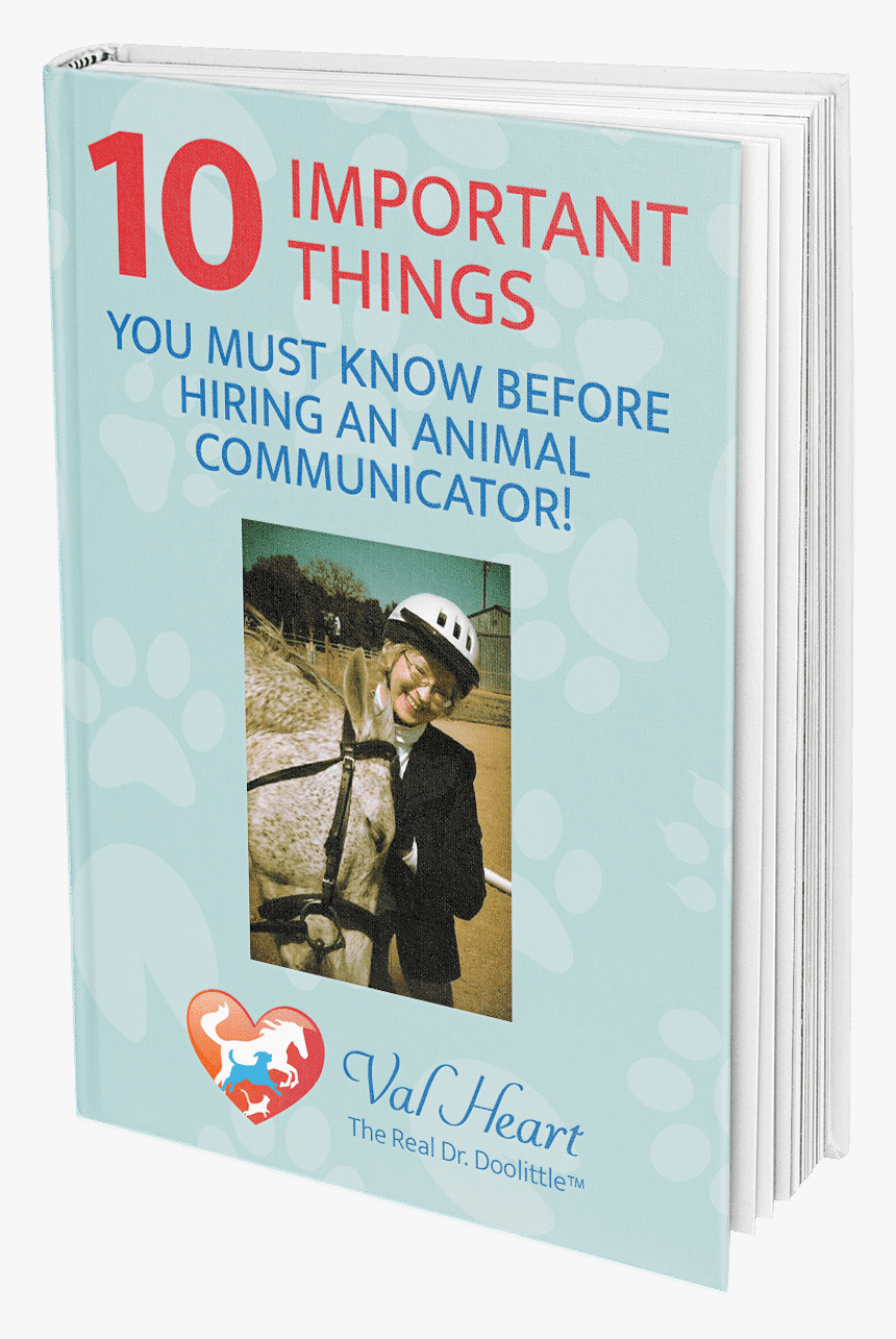 Book Cover, HD Png Download