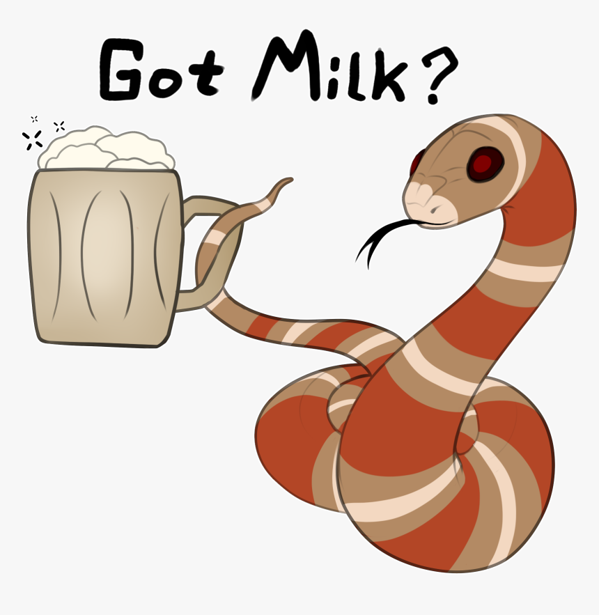 Milksnake - Got Milk - Snake Discovery Merch Milk Snake, HD Png Download