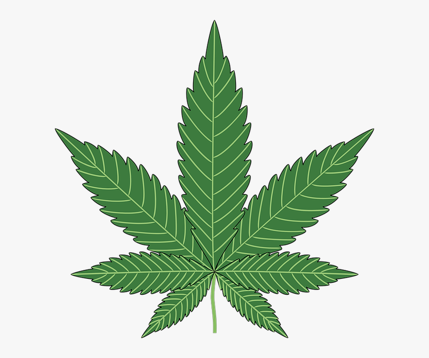 Baking, Cannabis, Hemp, Leaf, Marijuana, Plant, Pot - Weed Plant Clipart, HD Png Download