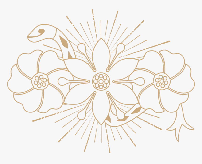 Circle, HD Png Download