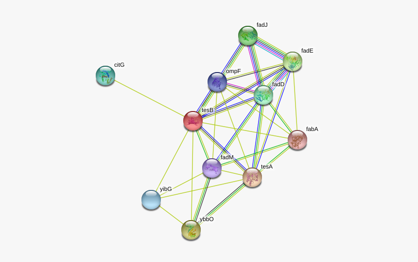 Tesb Protein - Circle, HD Png Download