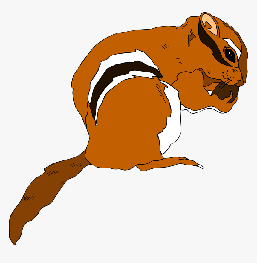 Animated Squirrel Clipart 16, Buy Clip Art - Chipmunk Clip Art, HD Png Download