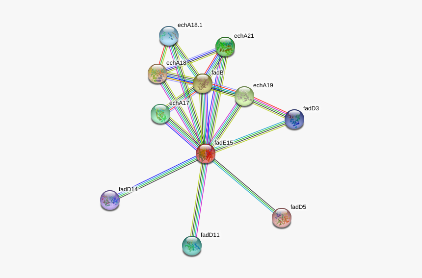 Fade15 Protein - Circle, HD Png Download