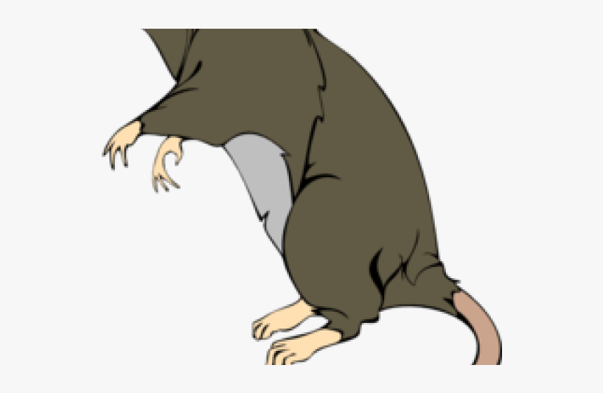Rat Clipart Greedy - Rat Png Clipart, Transparent Png