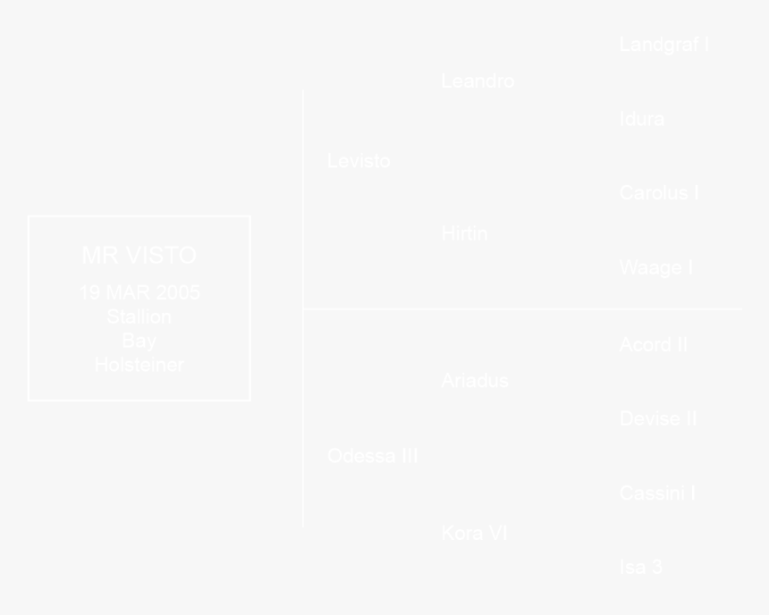 Spiderman White Logo Png, Transparent Png