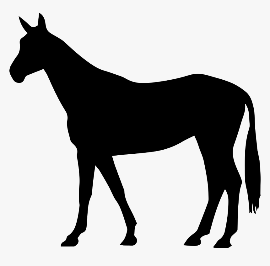Transparent Horse Tail Png - Arabian Horse Clipart, Png Download