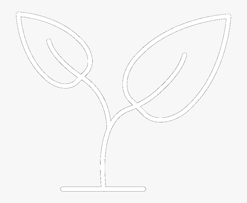 Transparent Hand Drawn Underline Png - Still Life Photography, Png Download