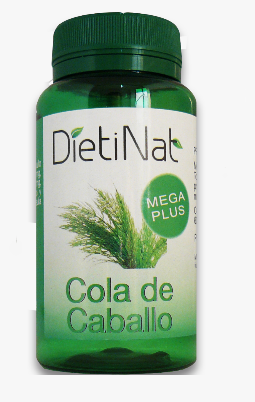 Saw Palmetto, HD Png Download