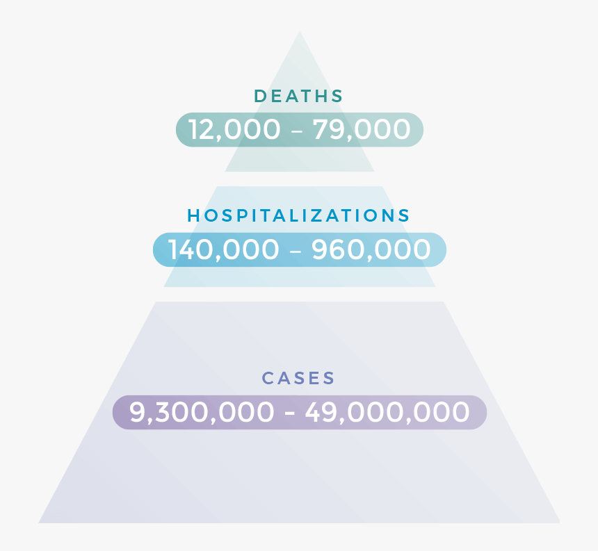Between 12,000 79,000 Deaths From Flu In The U - Christmas Tree, HD Png Download