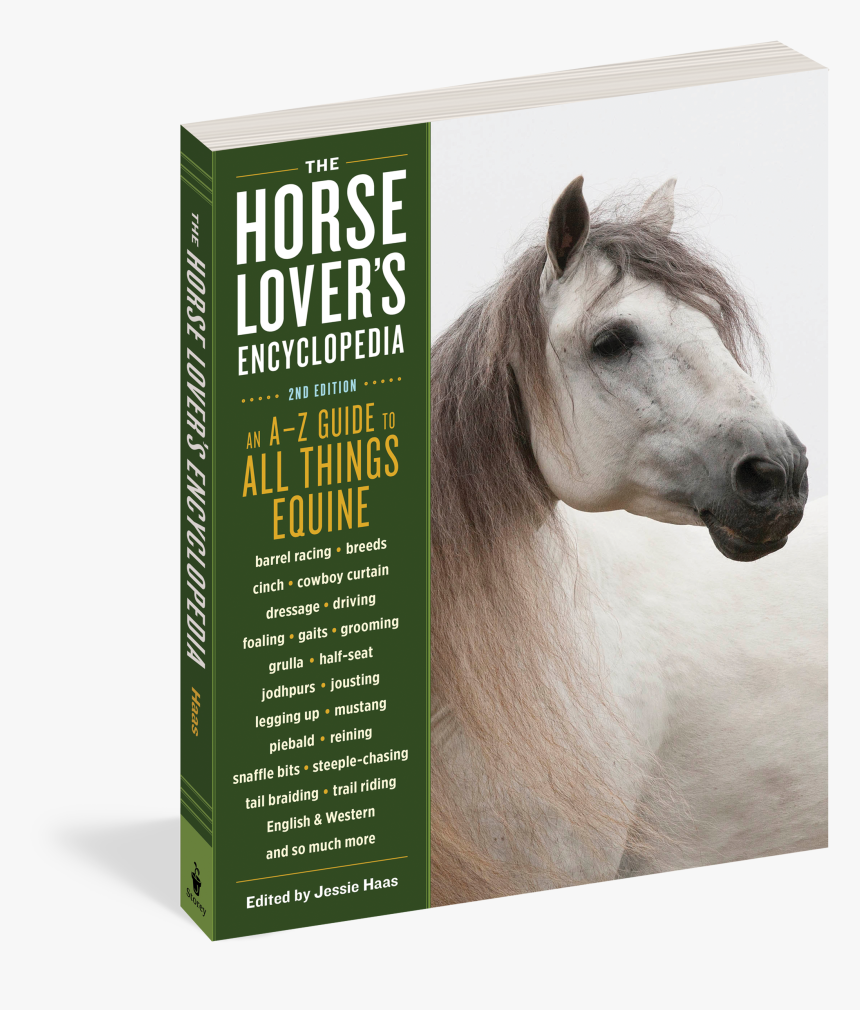 Cover - Stallion, HD Png Download