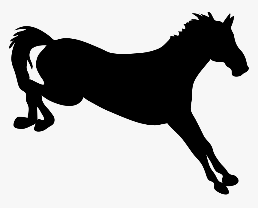 Stallion, HD Png Download