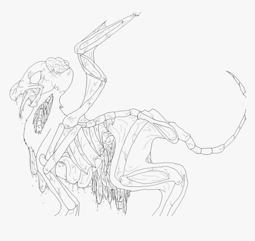 Line Art Sketch Color Drawing - Transparent Lineart To Color, HD Png Download