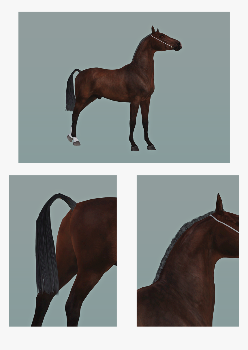 Sims 3 Roached Mane, HD Png Download