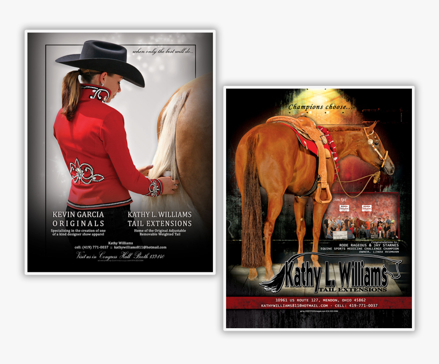 Stallion, HD Png Download