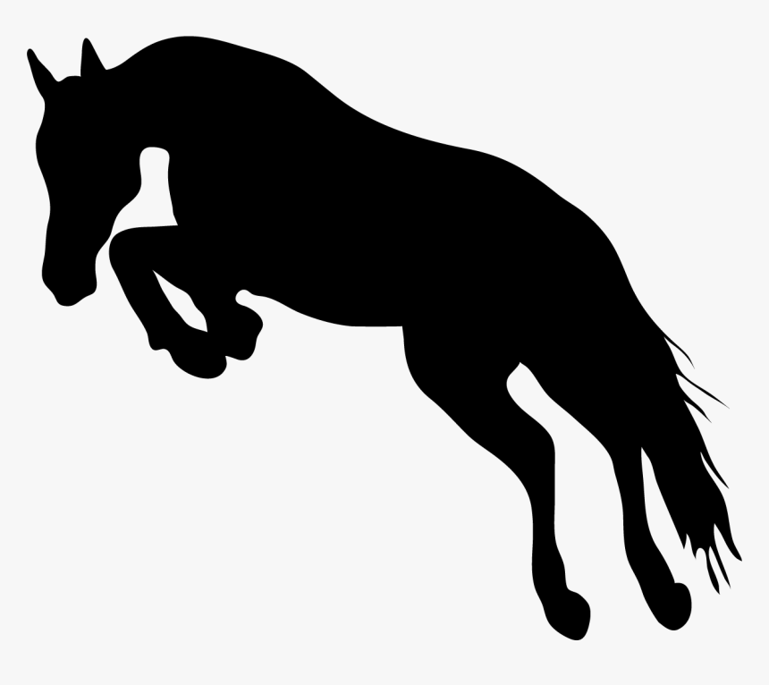 Stallion, HD Png Download