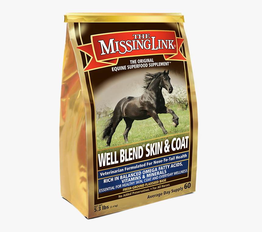 Stallion, HD Png Download