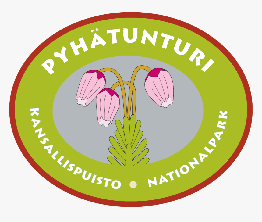 Robin Hood Jfc, HD Png Download