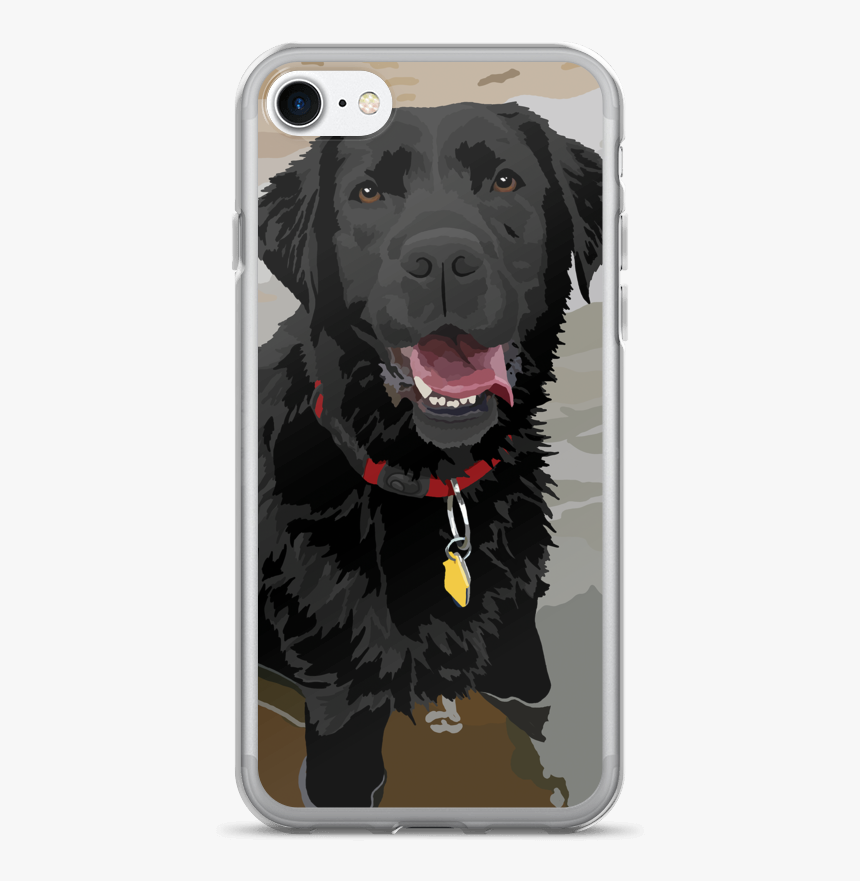 Abby In The Water - Labrador Retriever, HD Png Download