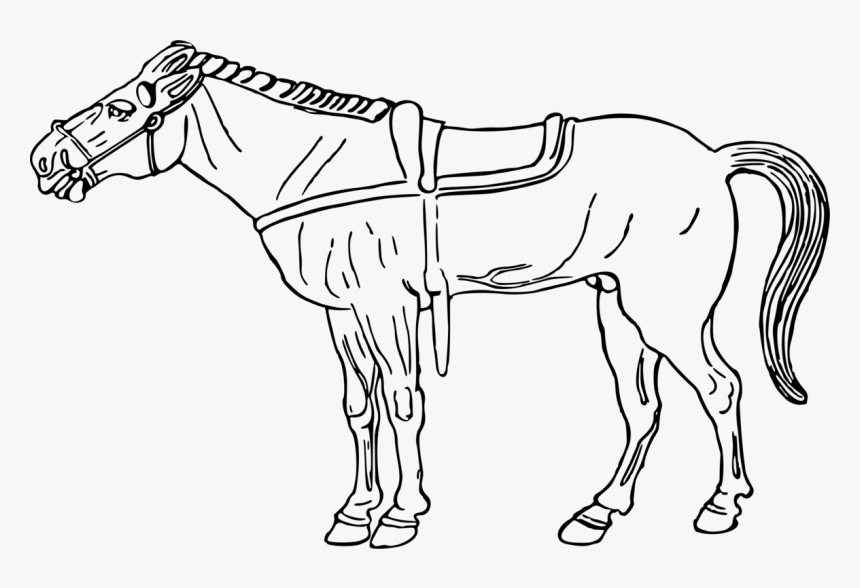 Dibujos De Un Caballo, HD Png Download