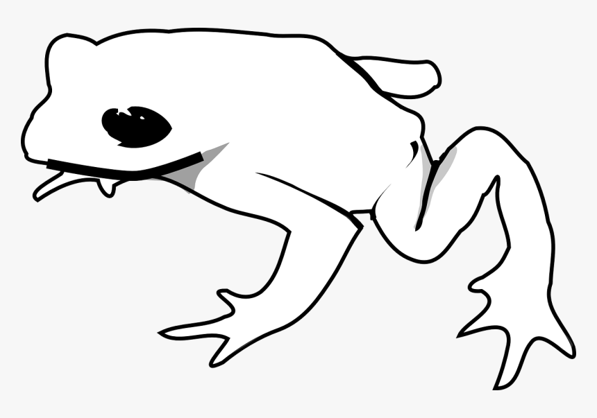 Black Frog Transparent Logo, HD Png Download