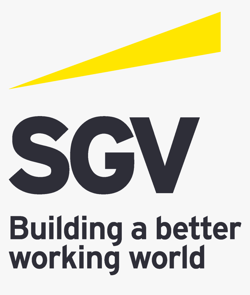 Confident Gray Sgv Stacked Copy - Ernst & Young, HD Png Download