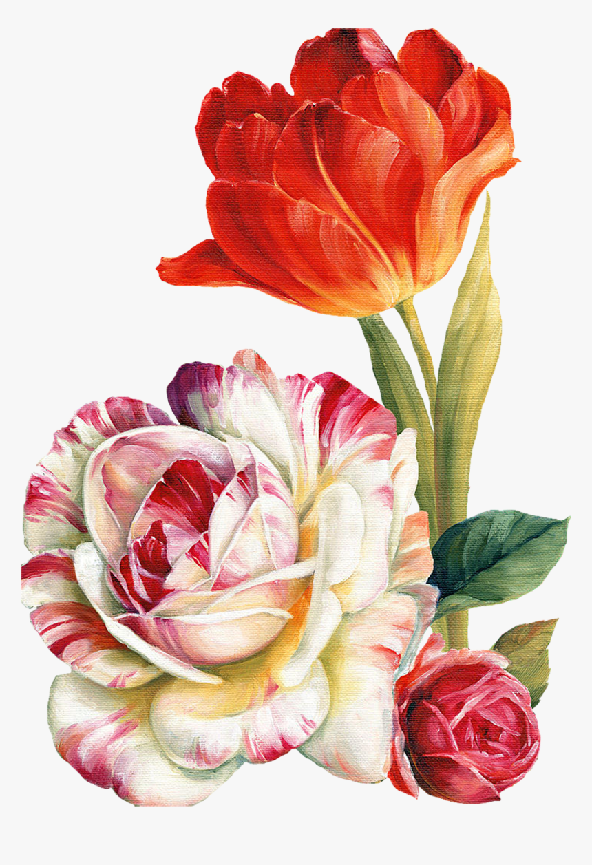 Png Lis Audit - Watercolor Transparent Background Flowers, Png Download