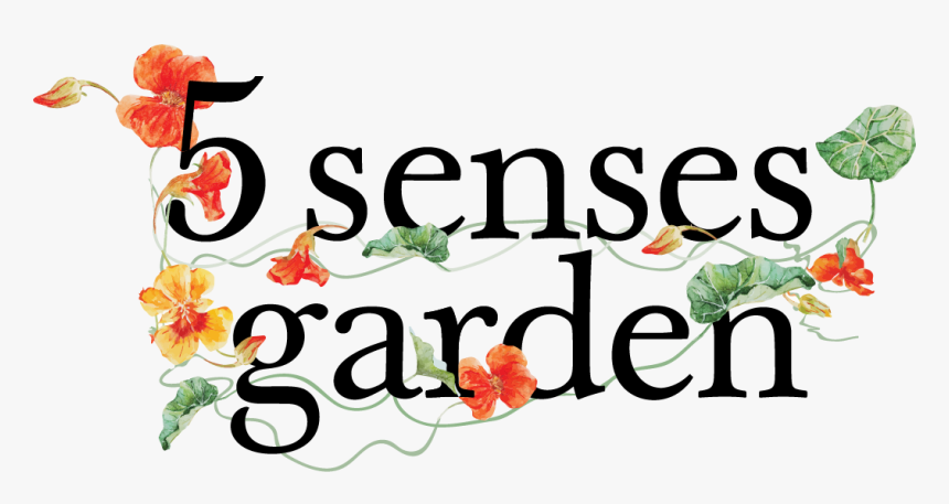 Transparent Garden Clipart - Business Car, HD Png Download