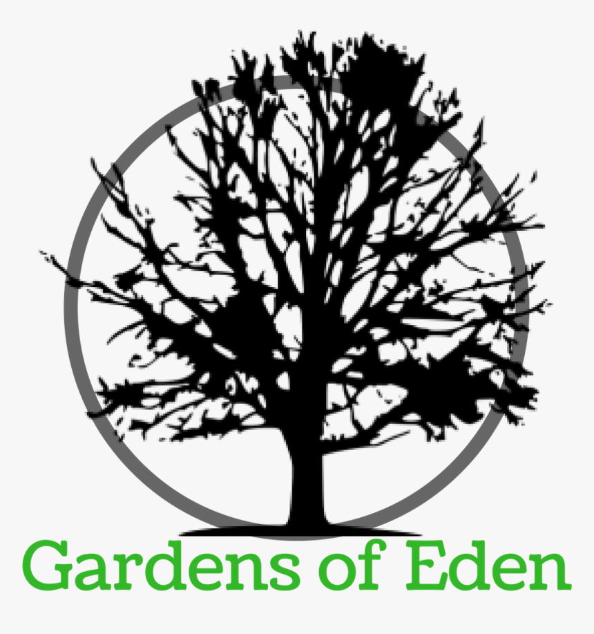 Everyone Sit Under Their Own Vine And Fig Tree, HD Png Download