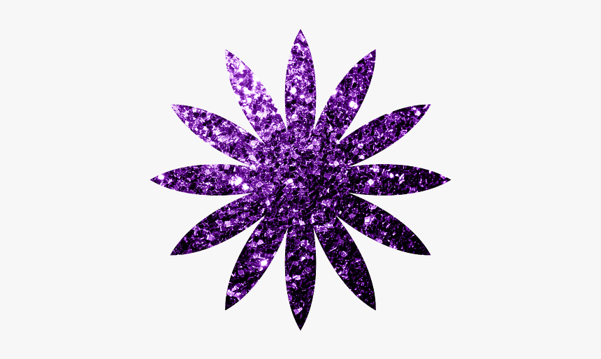 Stonehill College Office Of Intercultural Affairs, HD Png Download