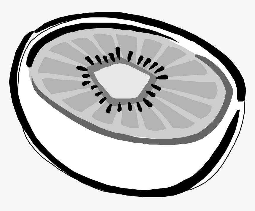 Kiwi Black And White, HD Png Download