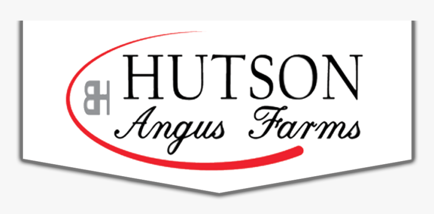 Calligraphy, HD Png Download