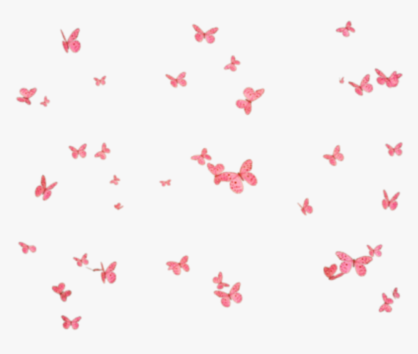 #butterflies #mariposas #mariposa #butterfly #group - Borboletas Png Fundo Transparente, Png Download