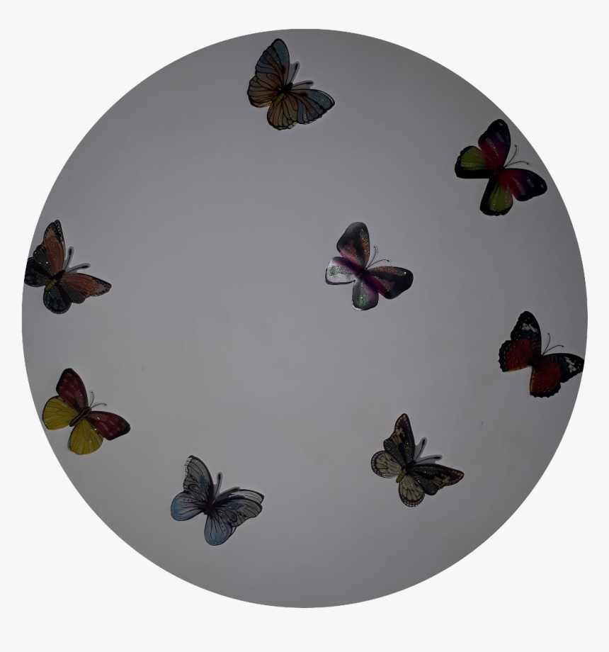 #mariposas #transformation #transfórmate #transforma - Large Blue, HD Png Download