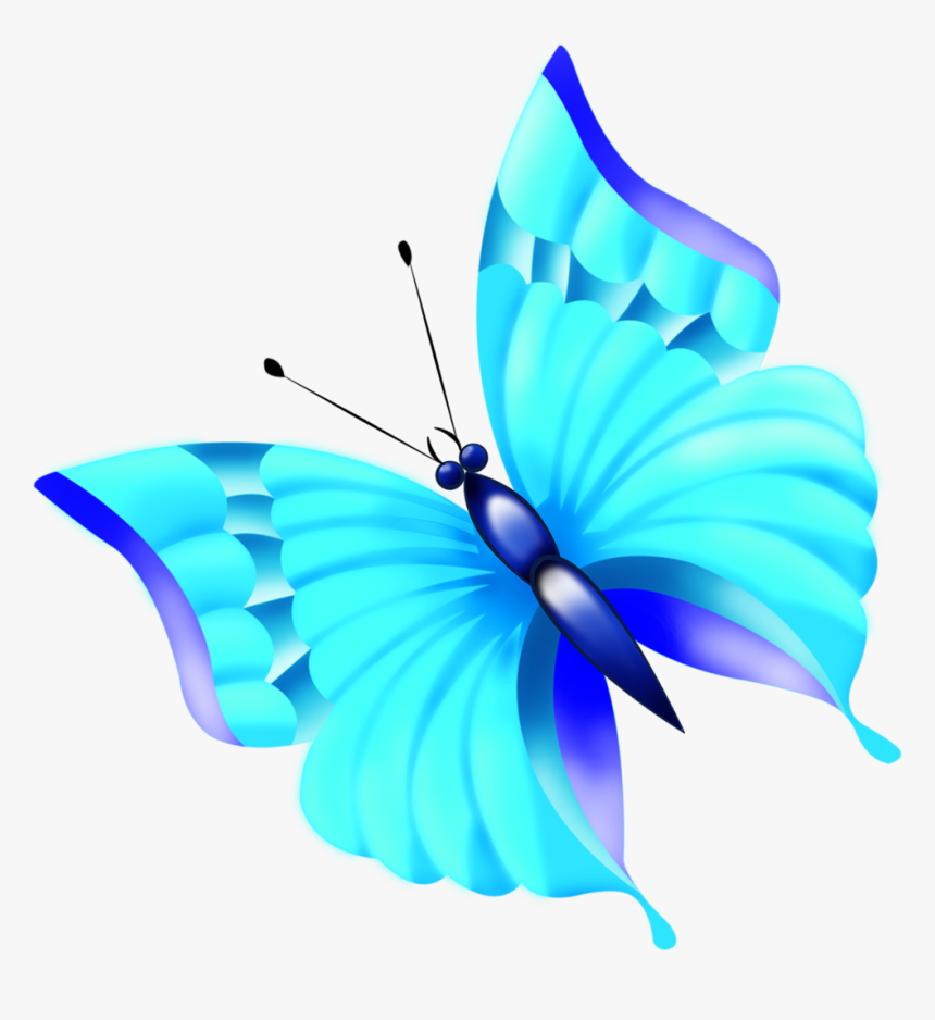 Butterflies Clipart, HD Png Download