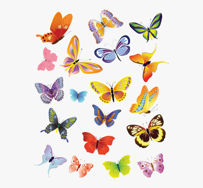 Group Of Butterfly Clipart, HD Png Download