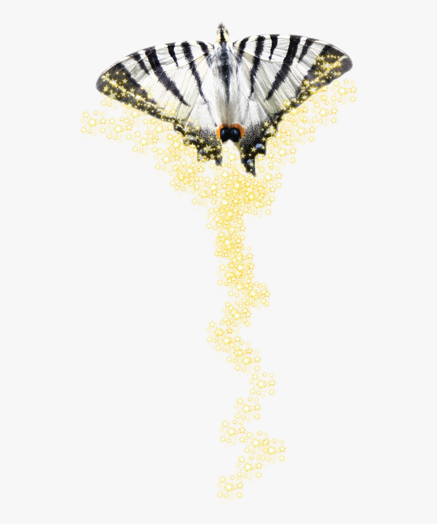 Papilio Machaon, HD Png Download
