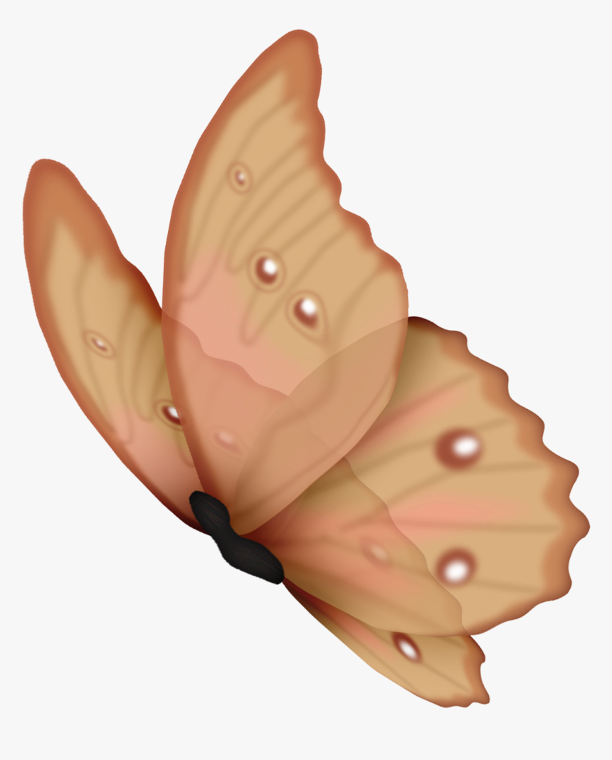 Borboleta Sem Fundo, HD Png Download