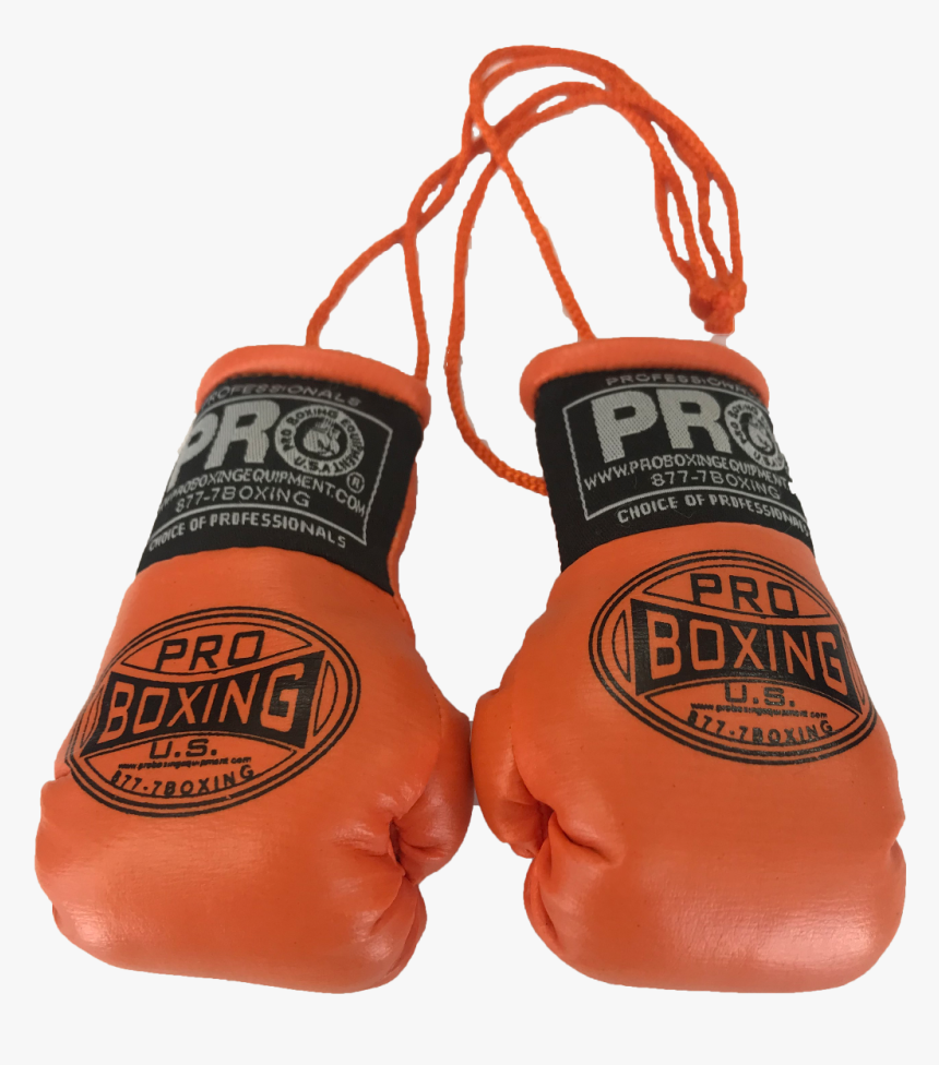 Mini Boxing Gloves By Reppa Usa Strength Training Equipment - Amateur Boxing, HD Png Download