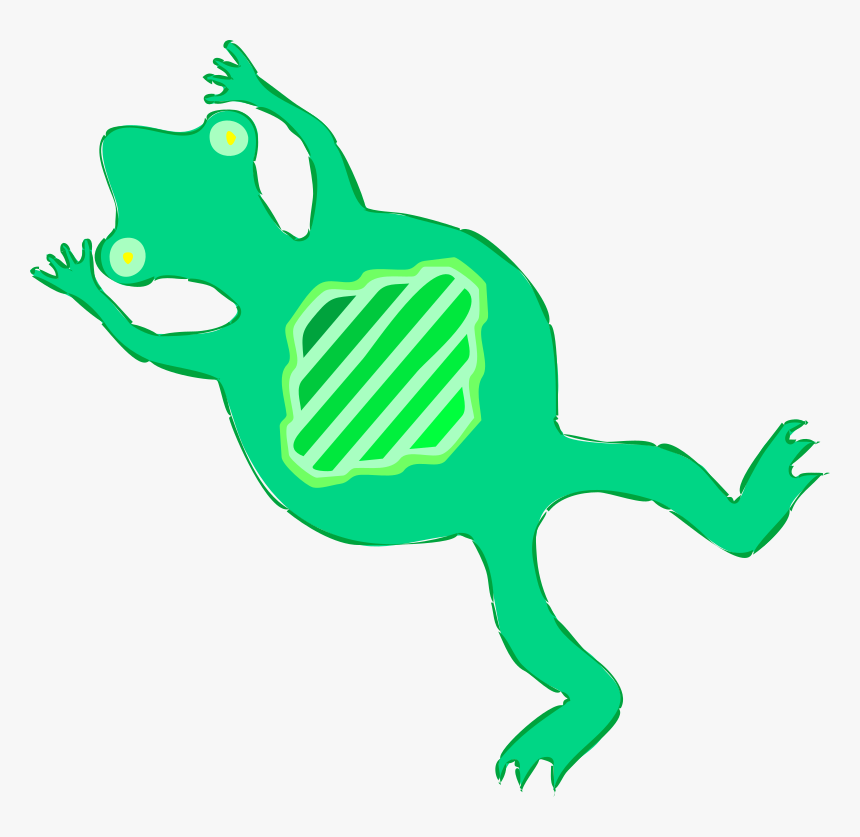 Architetto Rana Frog - Roadkill Clipart Png, Transparent Png