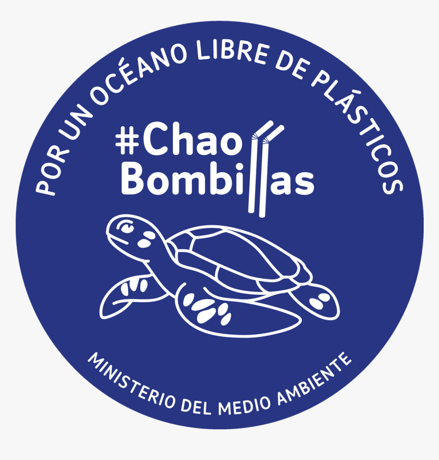 Sea Turtle, HD Png Download