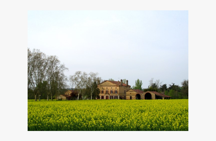 Large Historic Pile Of Rocks - Farm, HD Png Download