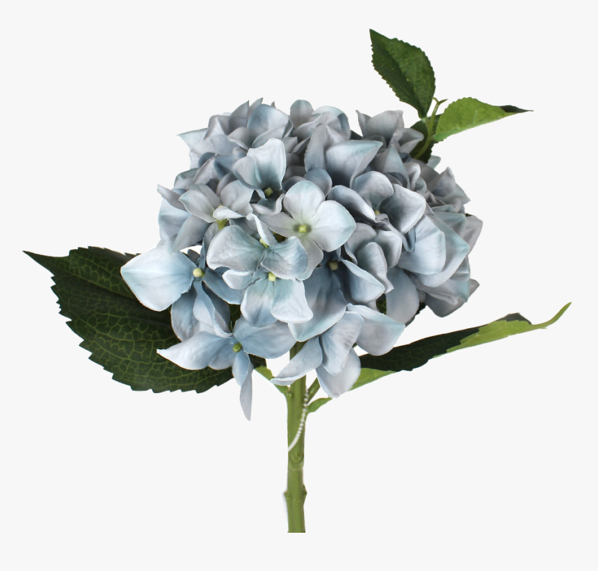 Transparent Hydrangea Png - Bouquet, Png Download