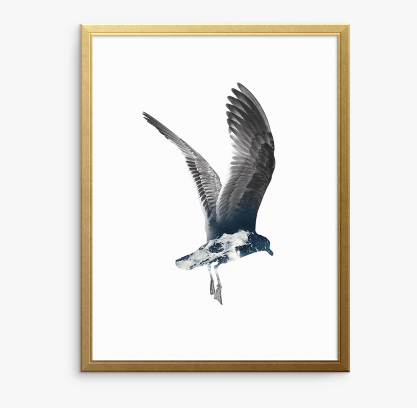 Set Sail Wall Art Print - Great Black-backed Gull, HD Png Download