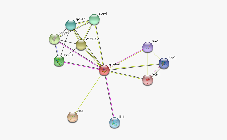 Gmeb-4 Protein - Circle, HD Png Download